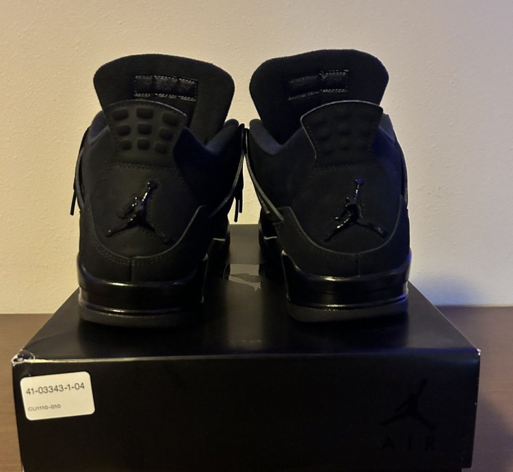 Black Cat 4