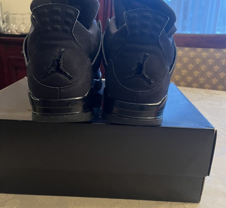 Black Cat Air Jordan 4 2020