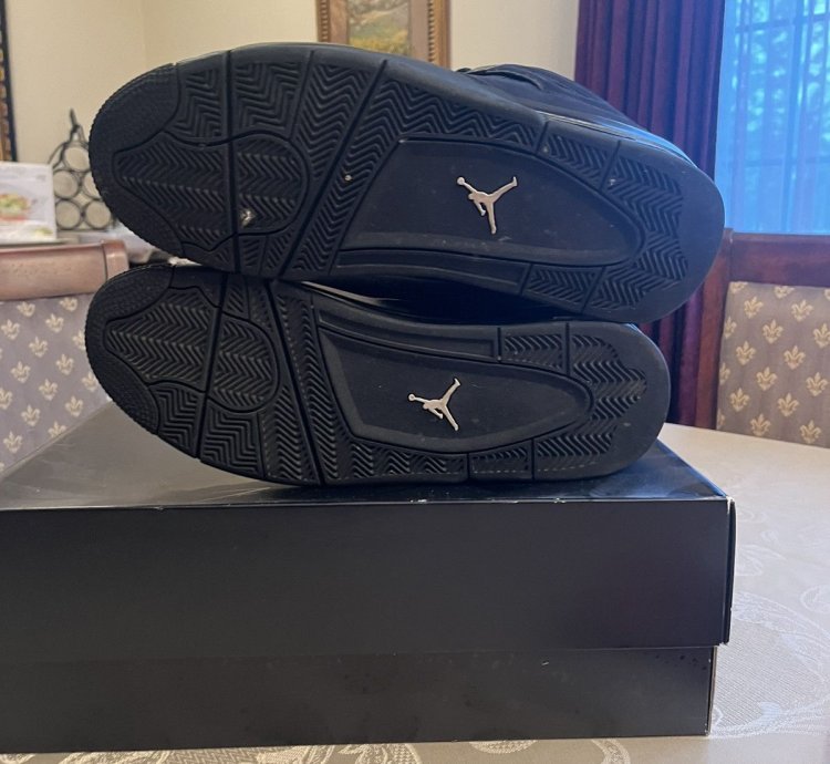 Black Cat Air Jordan 4 2020