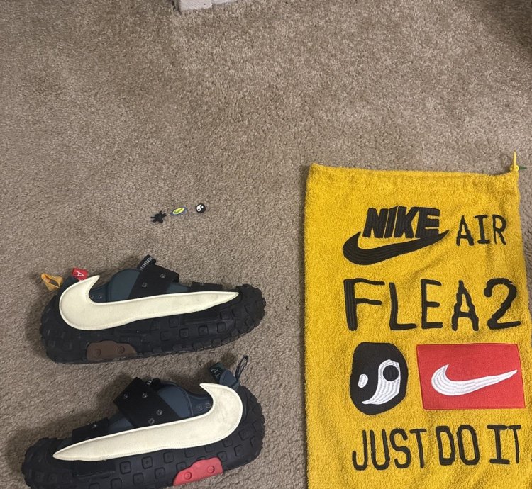 Catcus Plant Flea Market Nikes