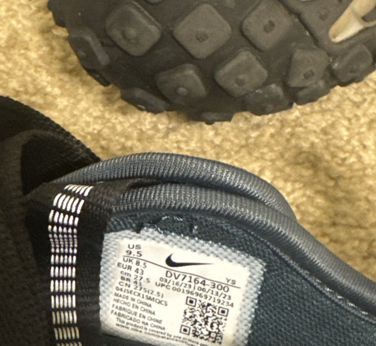 Catcus Plant Flea Market Nikes
