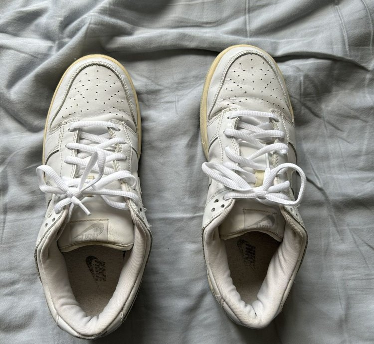 2002 Nike Dunk Low Pro Sb White Grey Patent Leather