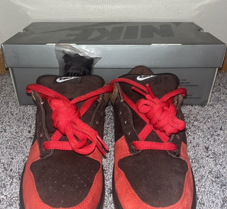 2003 Steal Nike Sb Dunk Low Bison rare Size And Sb