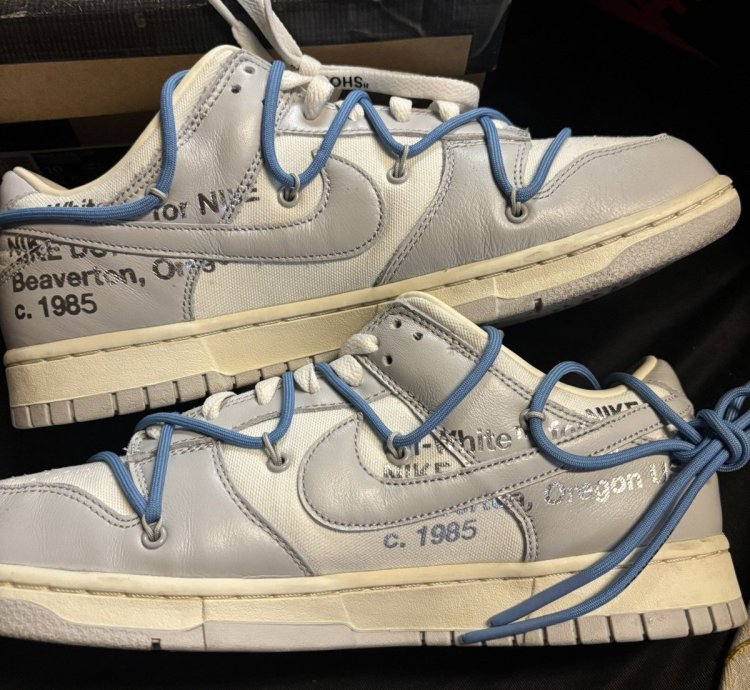 Dunks Off White Lot 5