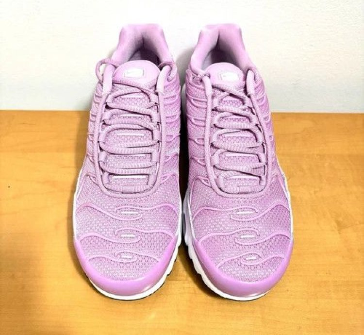 1 1 Nike Air Max Plus Grape Pink