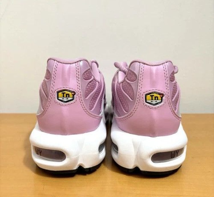 1 1 Nike Air Max Plus Grape Pink