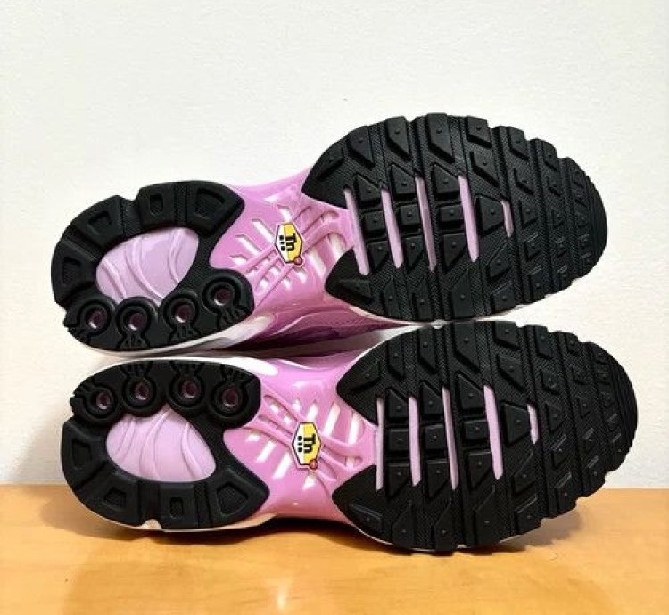 1 1 Nike Air Max Plus Grape Pink
