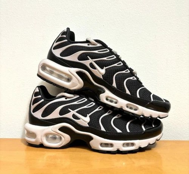1 1 Nike Air Max Plus Nude Black