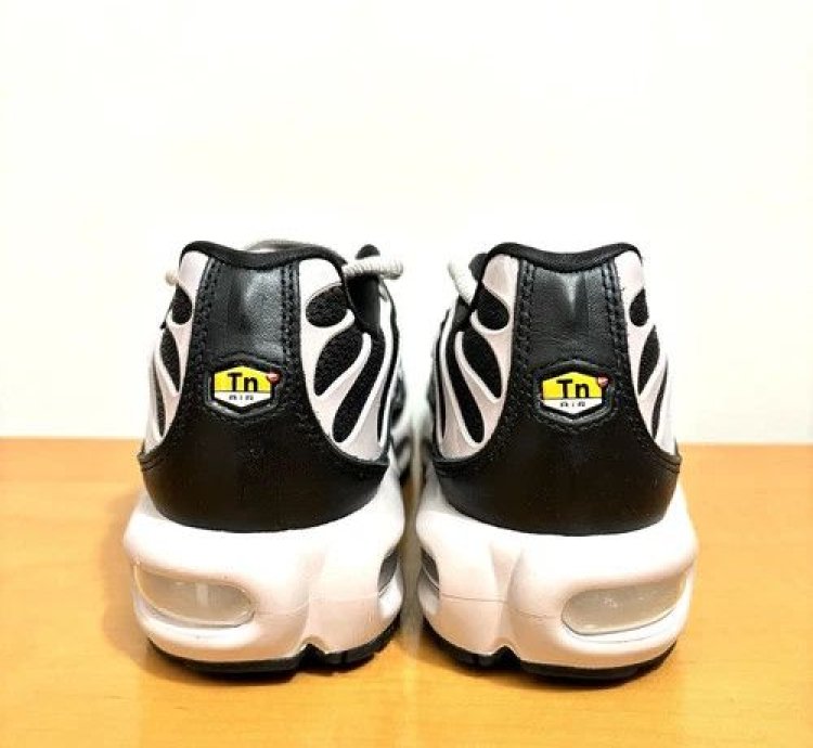 1 1 Nike Air Max Plus Nude Black