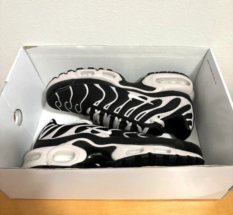 1 1 Nike Air Max Plus Nude Black