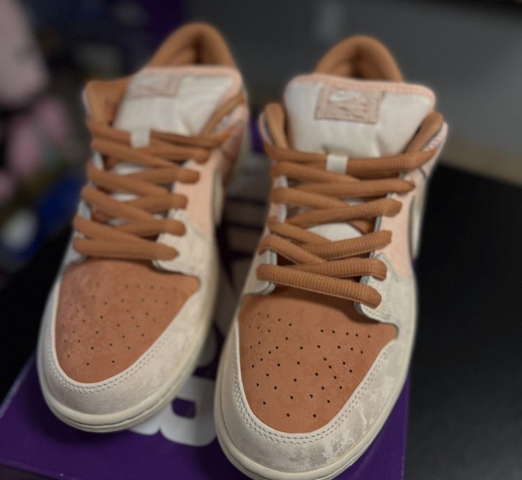 10 5 Nike Sb Dunk Low Trocadero Gardens fv5926-200
