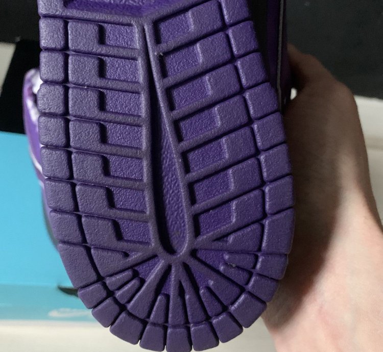 Final Drop Nike Sb Dunk Low Concepts Purple Lobster Us10 5