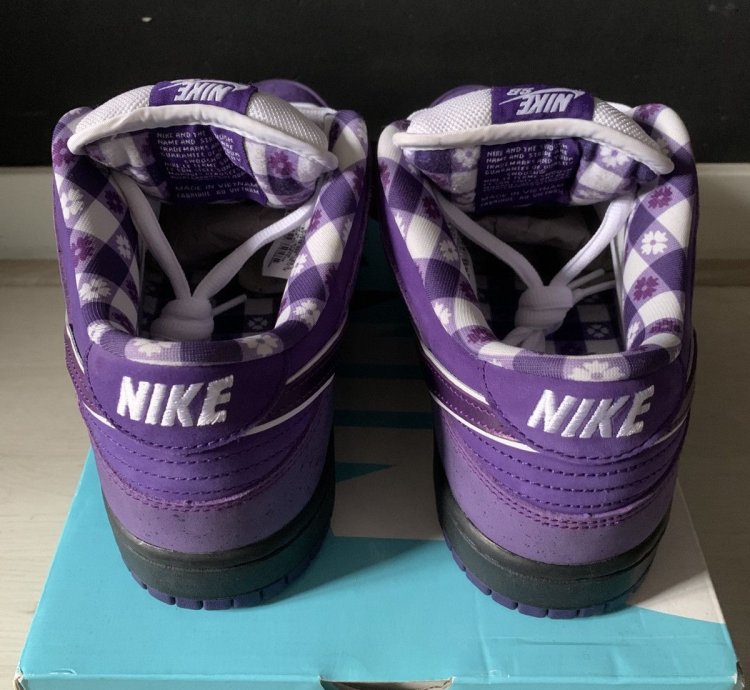 Final Drop Nike Sb Dunk Low Concepts Purple Lobster Us10 5