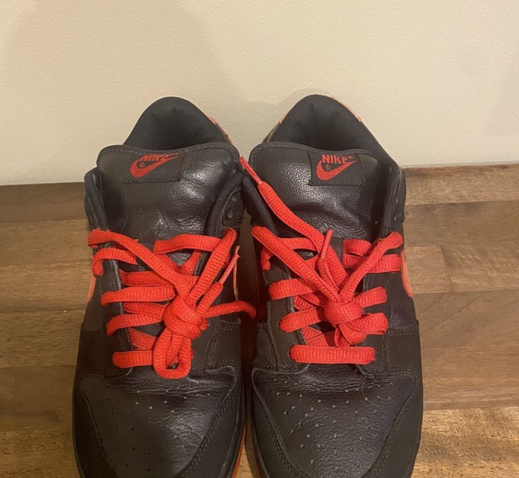 2003 Nike Dunk Pro Sb Low Vamps Size 9 No Box