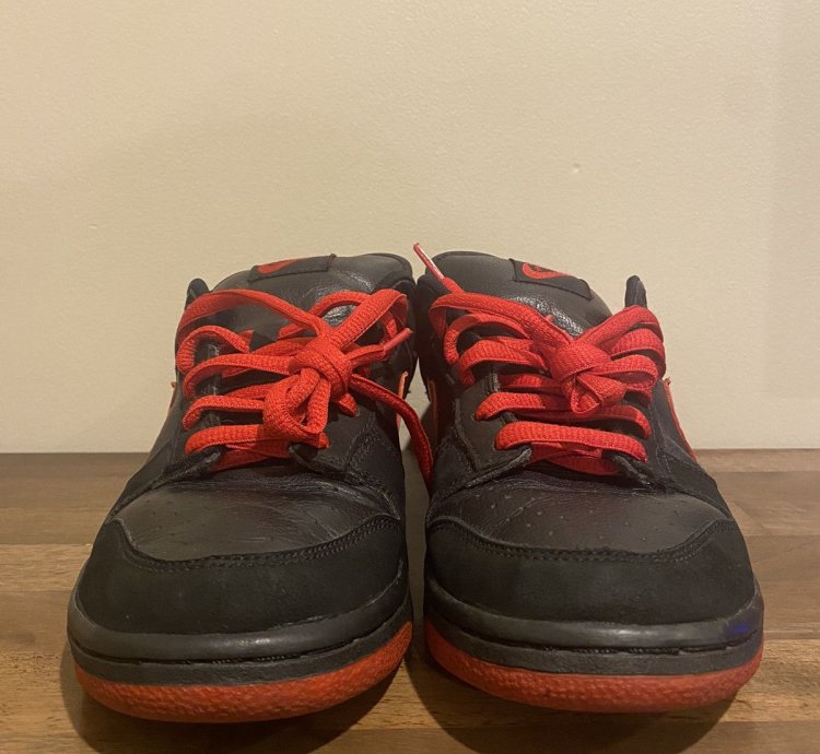 2003 Nike Dunk Pro Sb Low Vamps Size 9 No Box