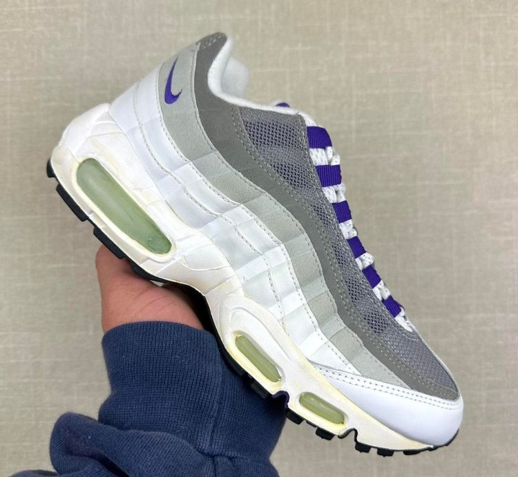 2005 Nike Air Max 95 Wild Grape