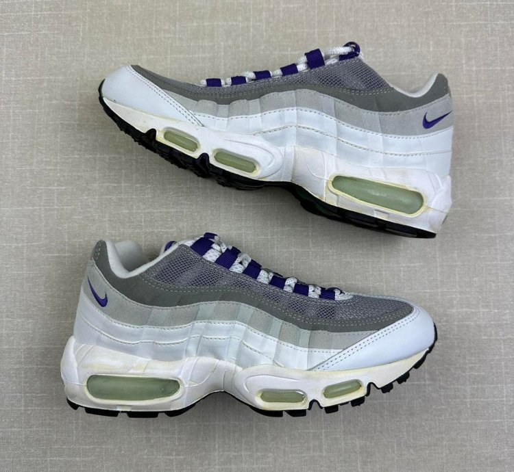 2005 Nike Air Max 95 Wild Grape