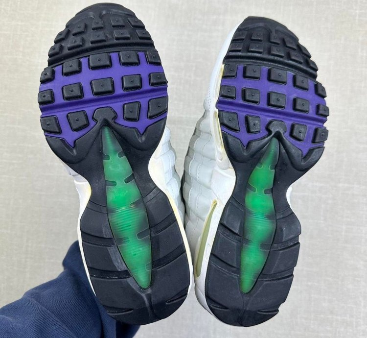 2005 Nike Air Max 95 Wild Grape