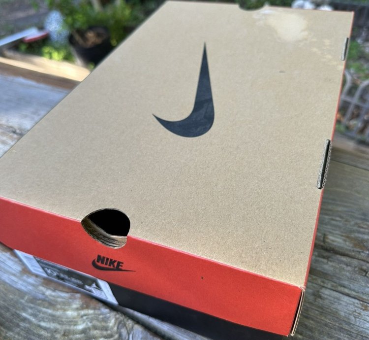Jordan 11 Bred 2019