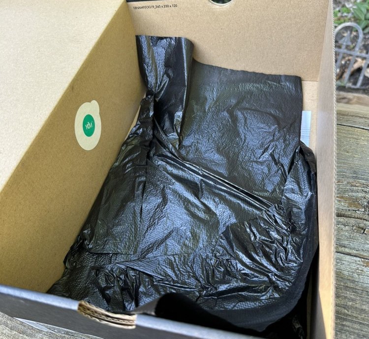 Jordan 11 Bred 2019