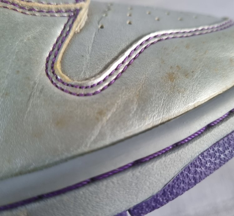 2007 Nike Dunk High Premium Sb Dinasour Junior