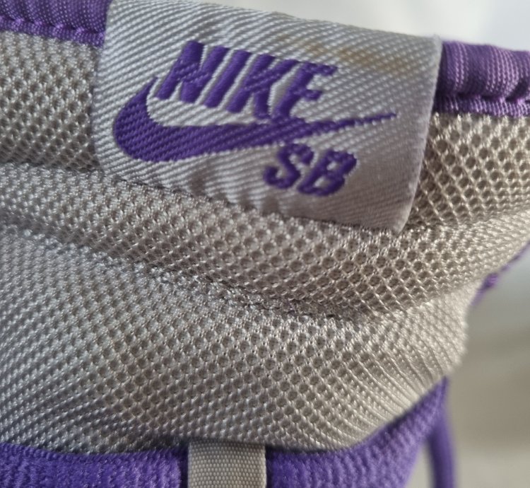 2007 Nike Dunk High Premium Sb Dinasour Junior