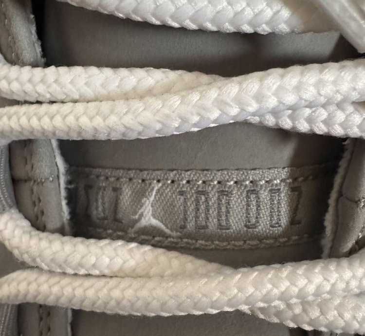 Jordan 11 Cool Grey