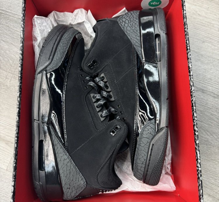 Jordan 3 Black Cat 2025