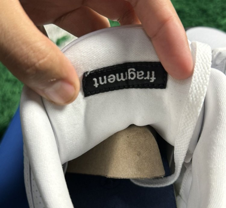 Jordan 3 Fragment