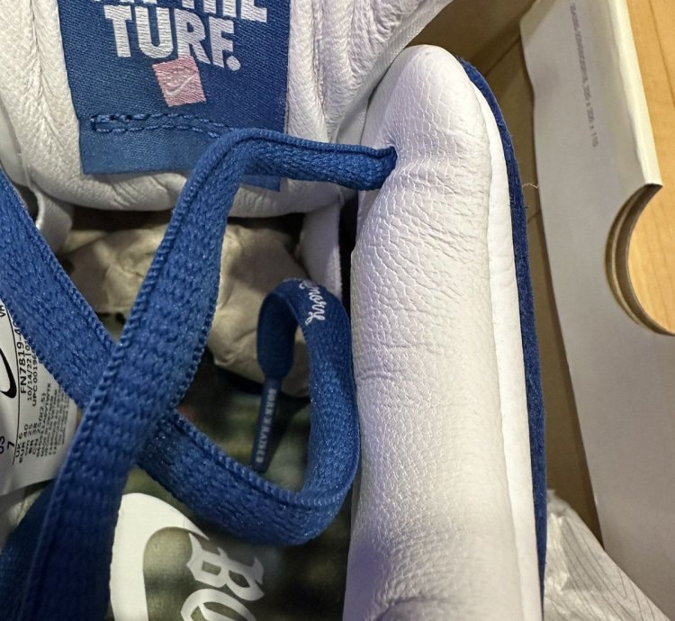 Born Raised Nike Sb Dunk Low