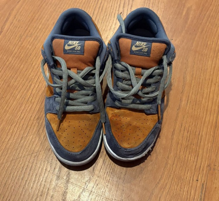Burnt Carbon Nike Sb Dunk Low