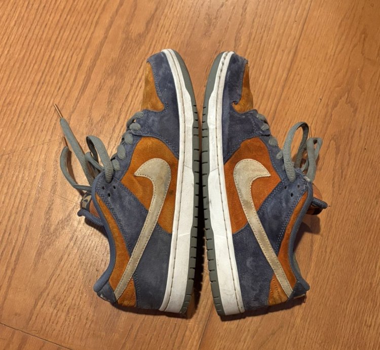 Burnt Carbon Nike Sb Dunk Low