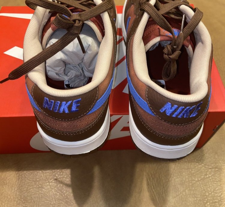 Cacao Wow Nike Sb Dunks Size 13 Nwt