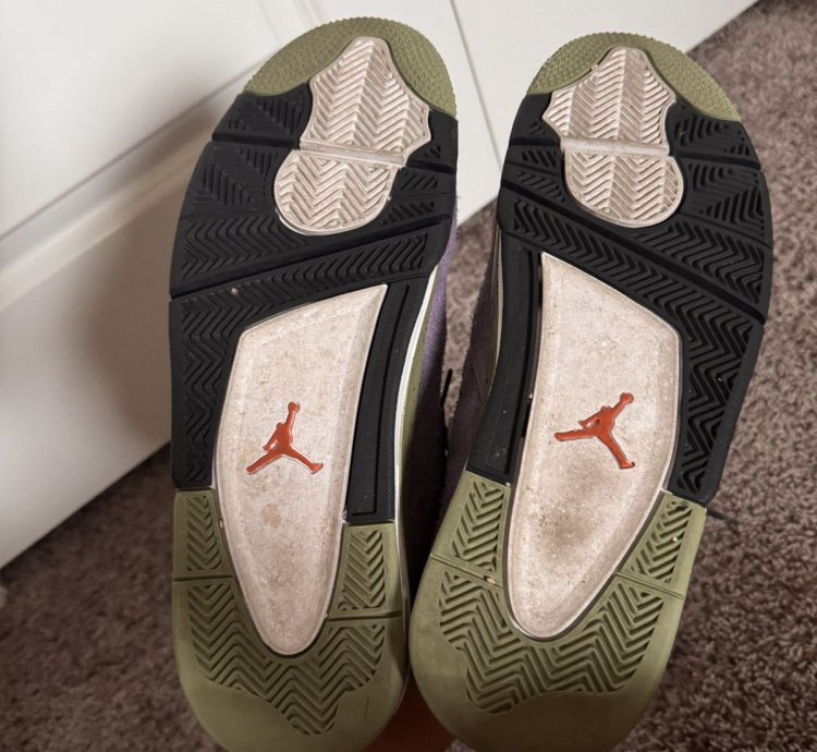Jordan 4 Canyon Purple