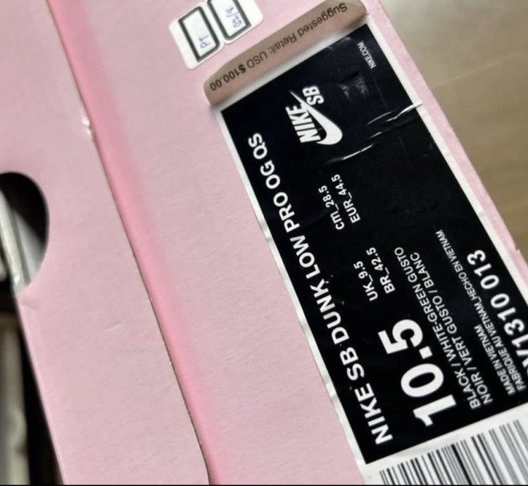 Jeff Staple Signed Pigeon Nike Sb Dunk