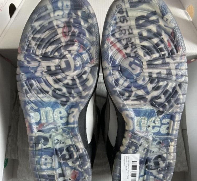 Jeff Staple Signed Pigeon Nike Sb Dunk