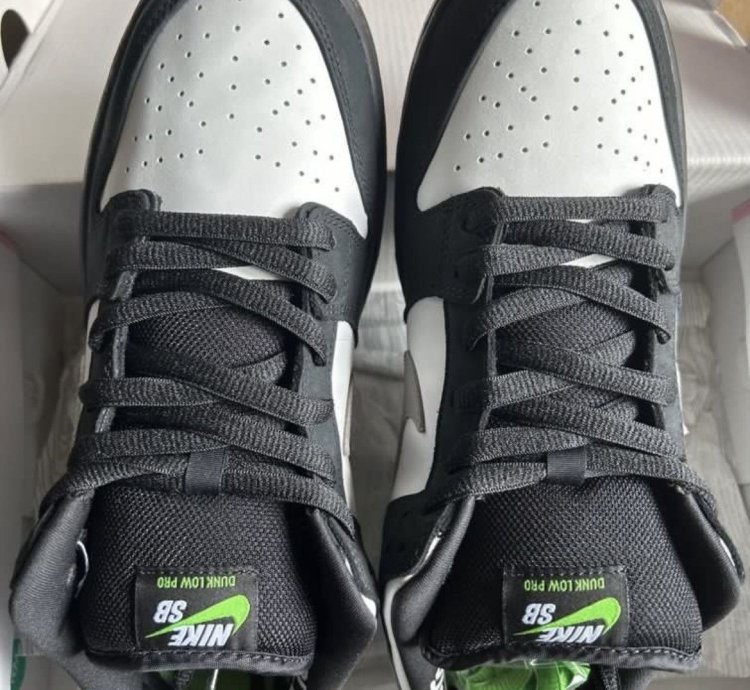 Jeff Staple Signed Pigeon Nike Sb Dunk