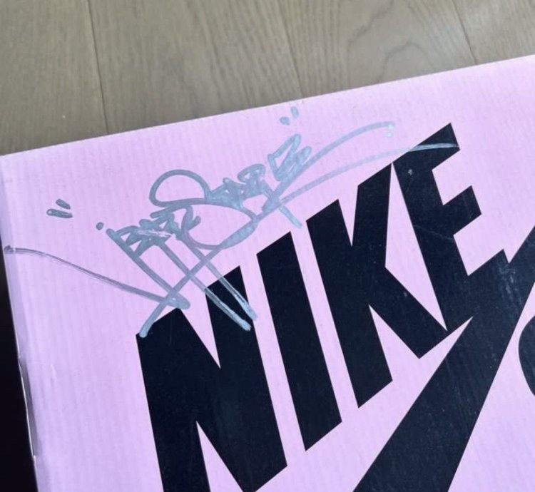 Jeff Staple Signed Pigeon Nike Sb Dunk