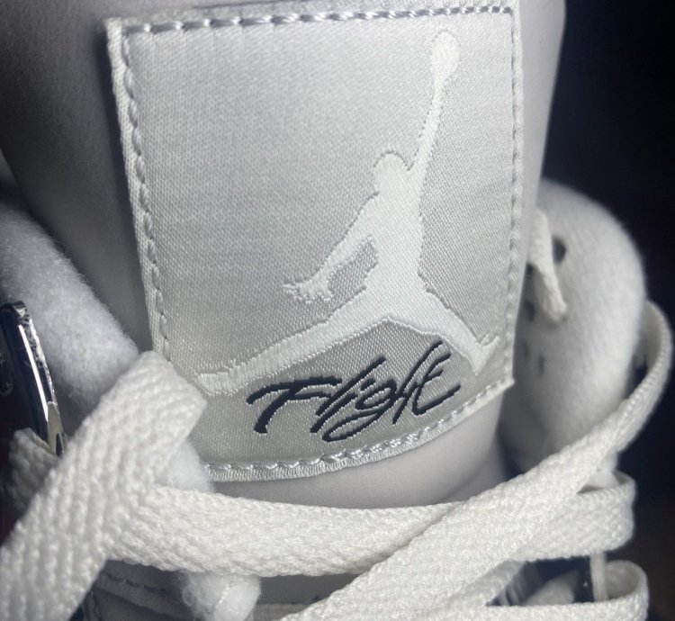 Jordan 4 Frozen Moments