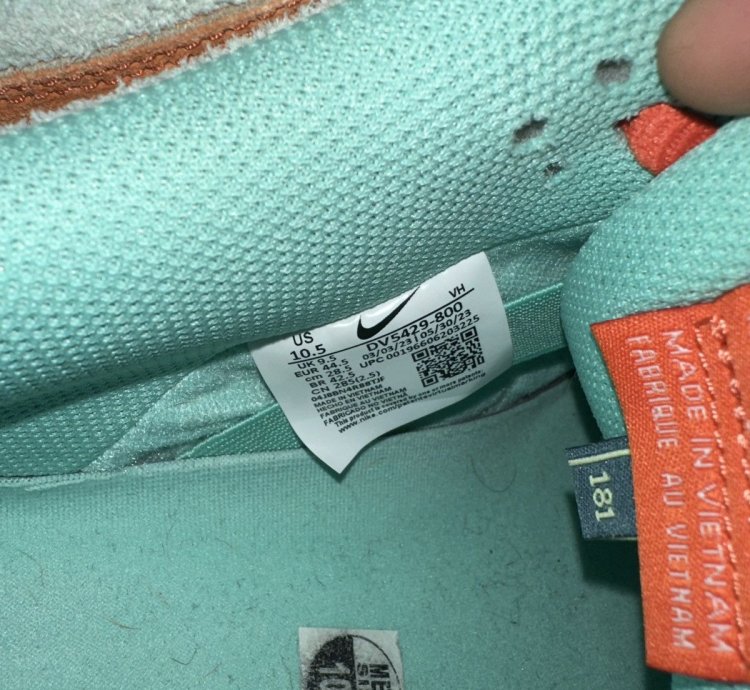Nike Dunks Sb Orange Emerald