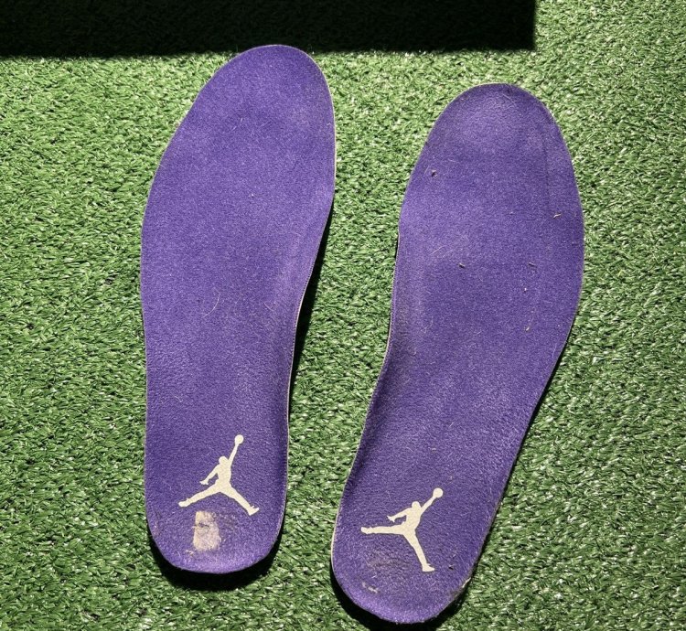 Jordan 4 Metallic Purple Size 8 5 2020