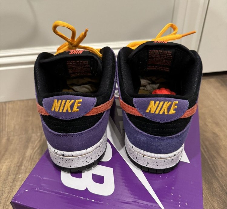 Nike Sb Dunk Acg Terra
