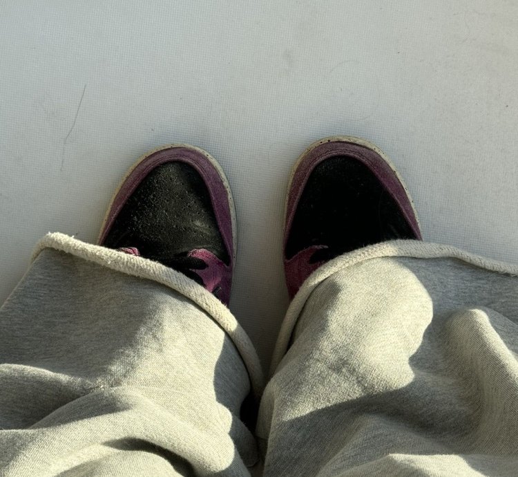 Nike Sb Dunk Acg Terra Purple Black