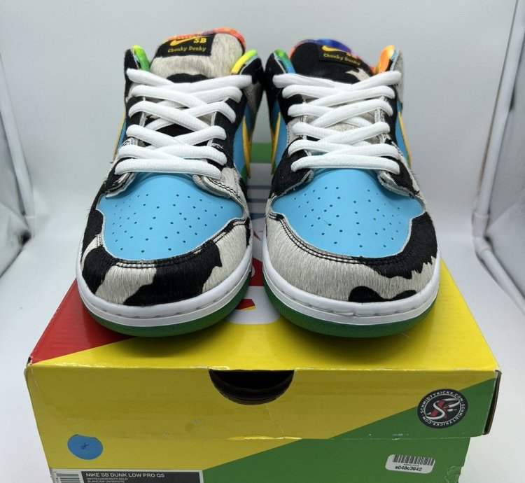 Nike Sb Dunk Ben Jerry