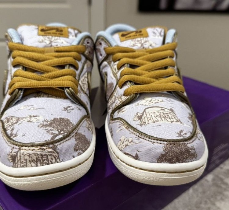 Nike Sb Dunk City Of Style