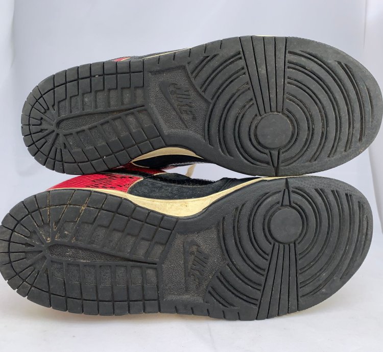 Nike Sb Dunk Coral Snake 2007 Size 9