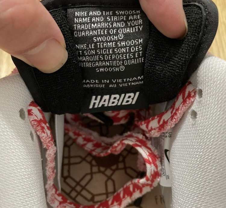 Nike Sb Dunk Frame Skate Habibi