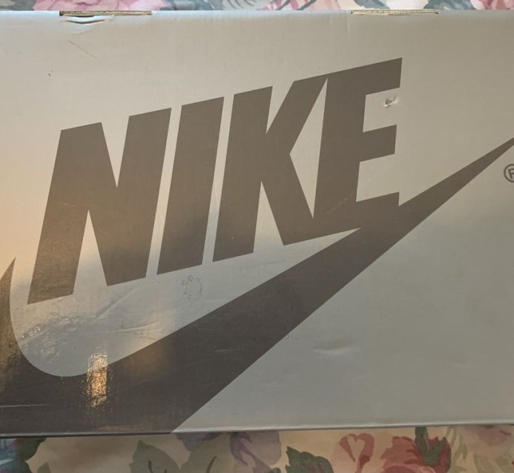 Nike Sb Dunk Hi Iron 2003 Sz 10