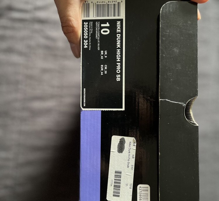 Nike Sb Dunk Hi Low Pro Brute Rare 10