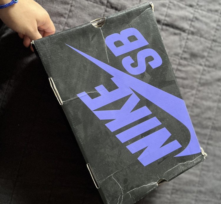 Nike Sb Dunk Hi Low Pro Brute Rare 10